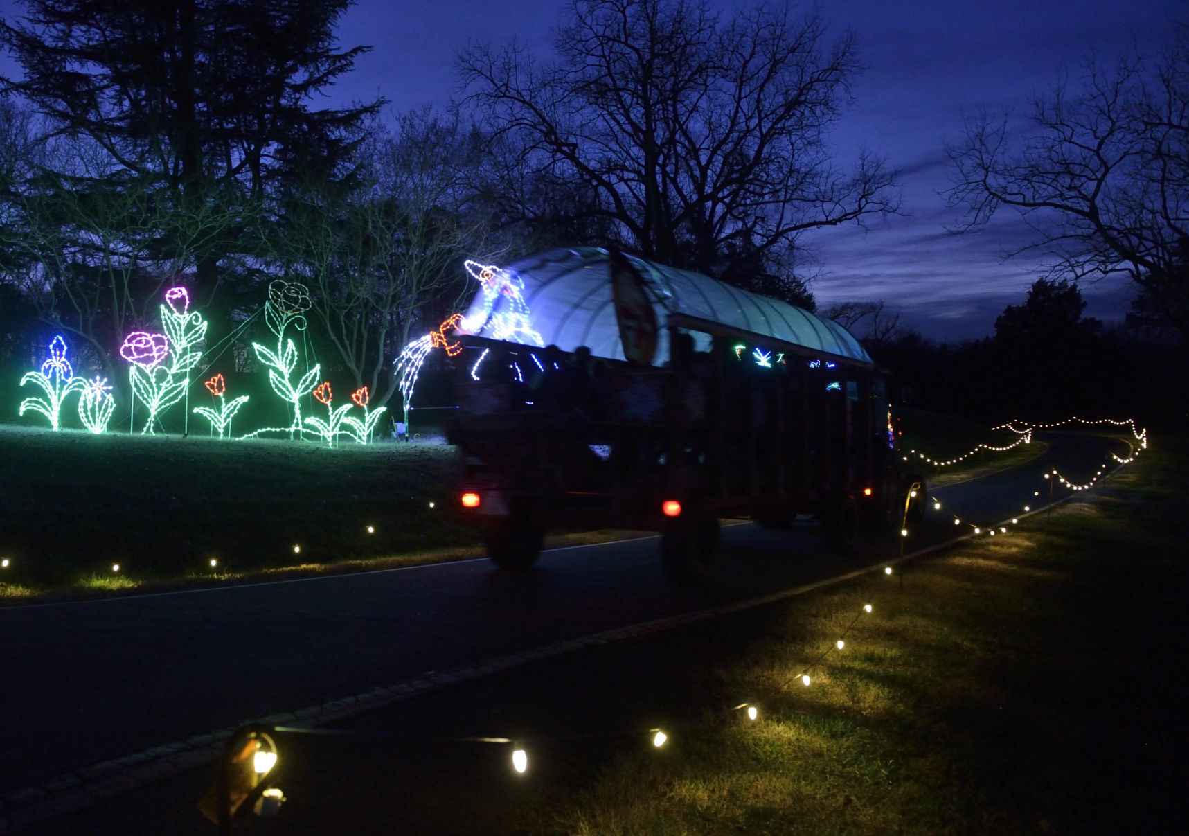 20151230w_jwt_lights